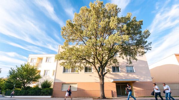 10 étapes clés pour obtenir un DPE A pour votre logement